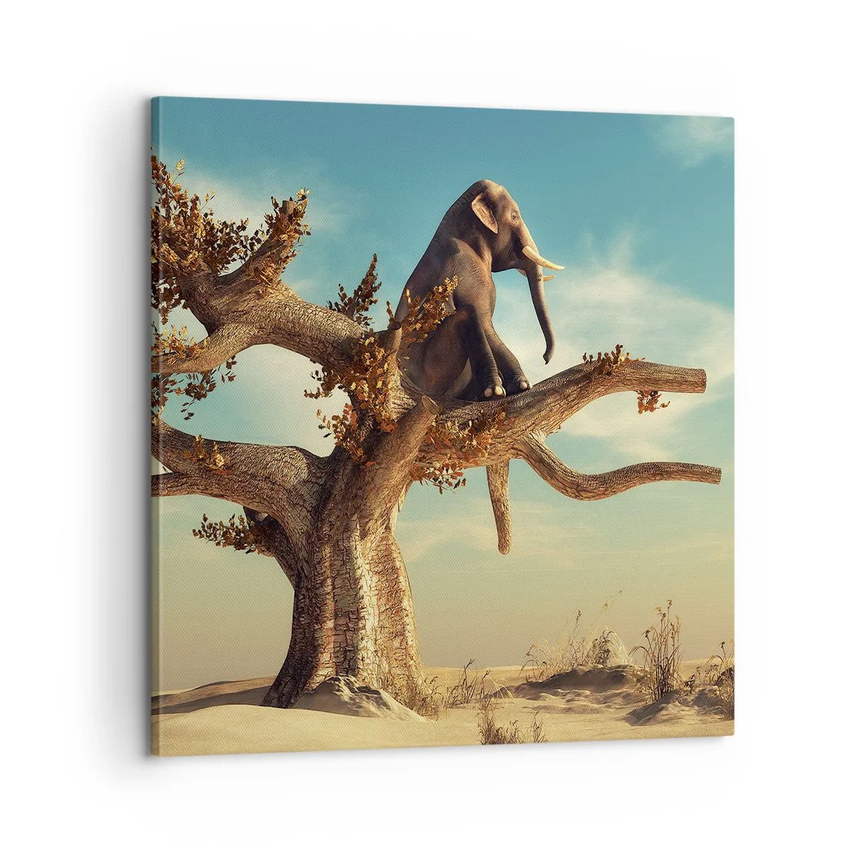 Impression sur toile - Image sur toile - Nouveau point de vue - 60x60 cm