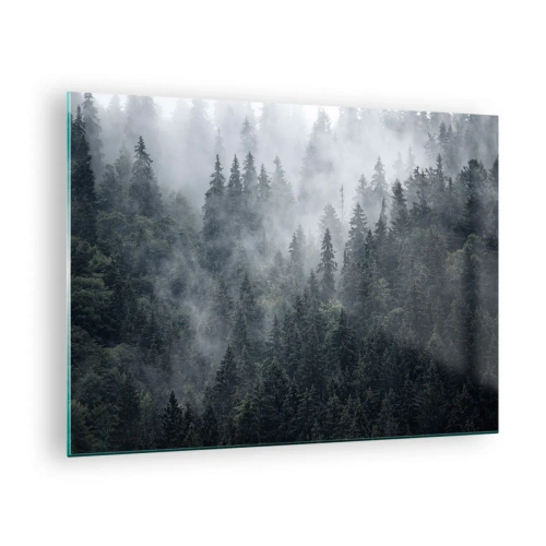 Impression sur verre - Image sur verre - Brouillard suspendu au-dessus de la dense forêt de conifères le matin - 70x50cm - Aube de la forêt - Décoration murale moderne pour le salon et la chambre ARTTOR