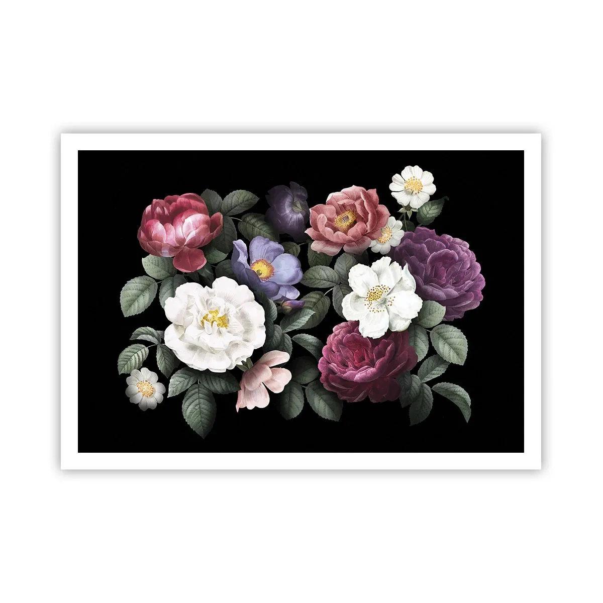 Affiche - Poster - Fleurs de différentes couleurs sur fond noir - 100x70cm - D'un jardin anglais - Décoration murale moderne pour le salon et la chambre ARTTOR