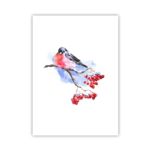 Affiche - Poster - Un oiseau sur une branche avec des fruits rouges - 50x70cm - L'hiver en couleurs - Décoration murale moderne pour le salon et la chambre ARTTOR