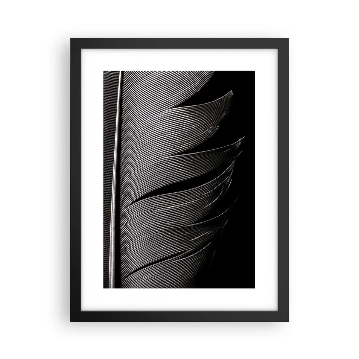 Affiche dans un cadre noir - Poster - La plume – un design magnifique - 30x40 cm