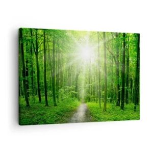Impression sur toile - Image sur toile - Chemin dans la forêt avec les rayons du soleil - 70x50cm - Cathédrale verte - Décoration murale moderne pour le salon et la chambre ARTTOR