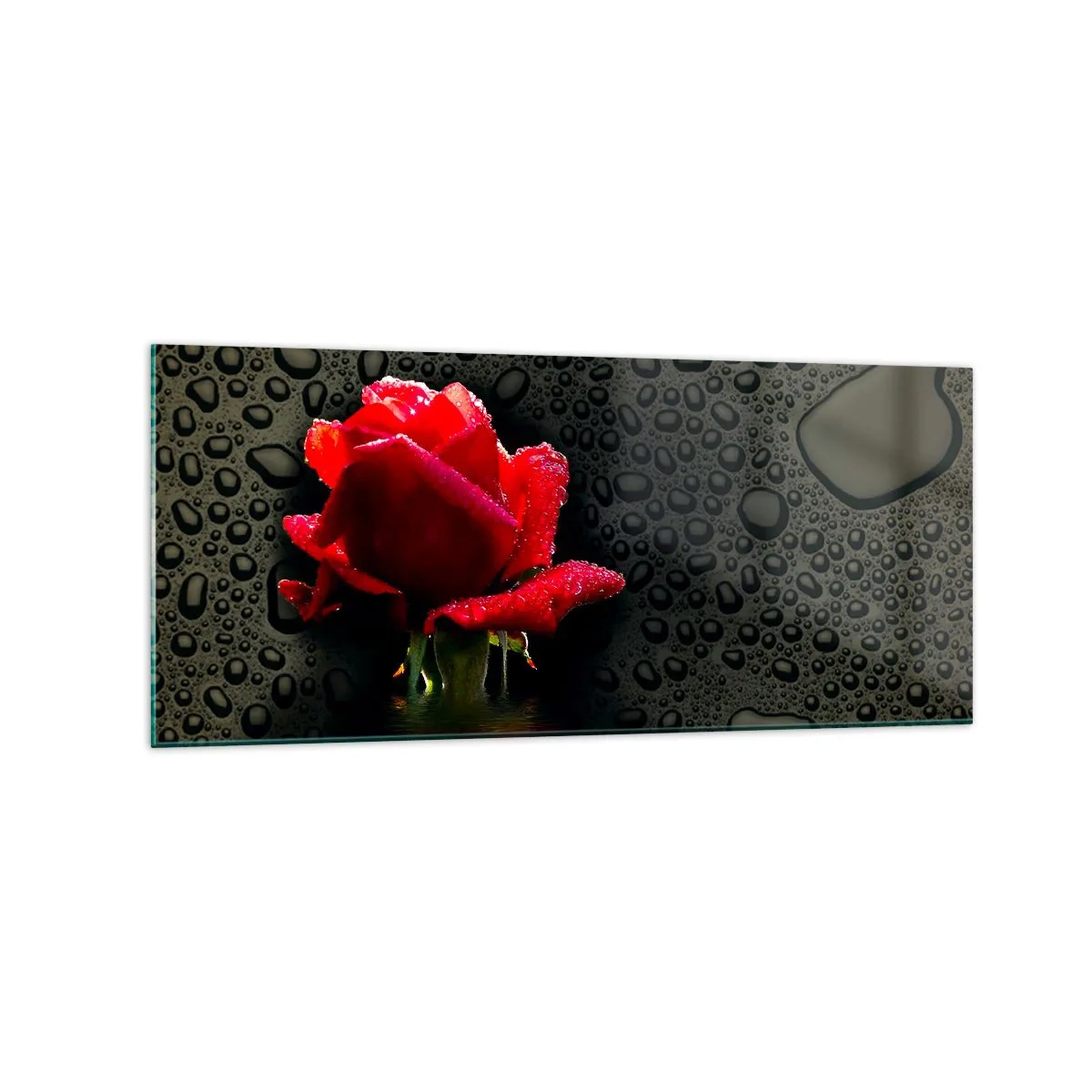 Impression sur verre - Image sur verre - Rose rouge avec des gouttes d'eau sur un fond sombre - 120x50cm - Rouge et noir - Décoration murale moderne pour le salon et la chambre ARTTOR