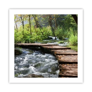 Affiche - Poster - Au-dessus de la cascade mousseuse - 50x50 cm