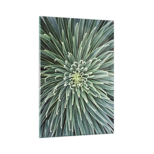 Impression sur verre - Image sur verre - Disposition symétrique de feuilles vertes ressemblant à une étoile - 80x120cm - Naissance d'une étoile - Décoration murale moderne pour le salon et la chambre ARTTOR