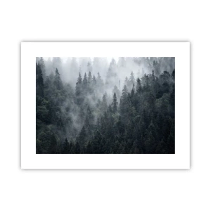 Affiche - Poster - Aube de la forêt - 40x30 cm