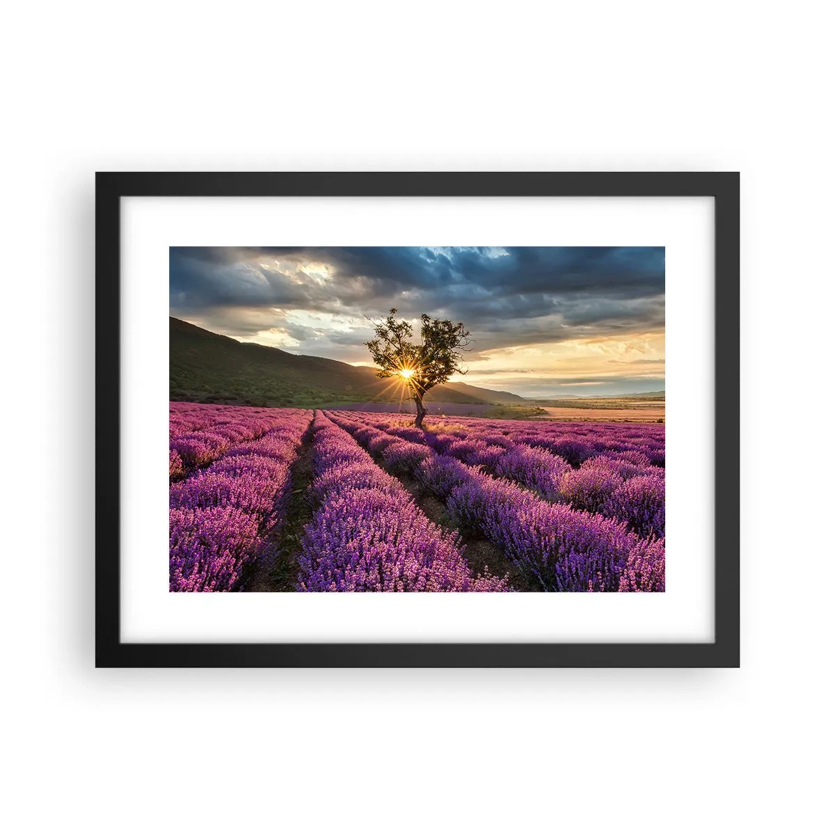 Affiche dans un cadre noir - Poster - Arôme de couleur lilas - 40x30 cm