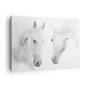 Impression sur toile - Image sur toile - Un portrait minimaliste de deux chevaux blancs - 70x50cm - Serait-ce de l’amitié? - Décoration murale moderne pour le salon et la chambre ARTTOR