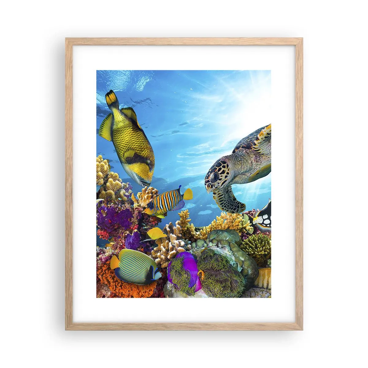 Affiche dans un chêne clair - Poster - Promenade de corail - 40x50 cm