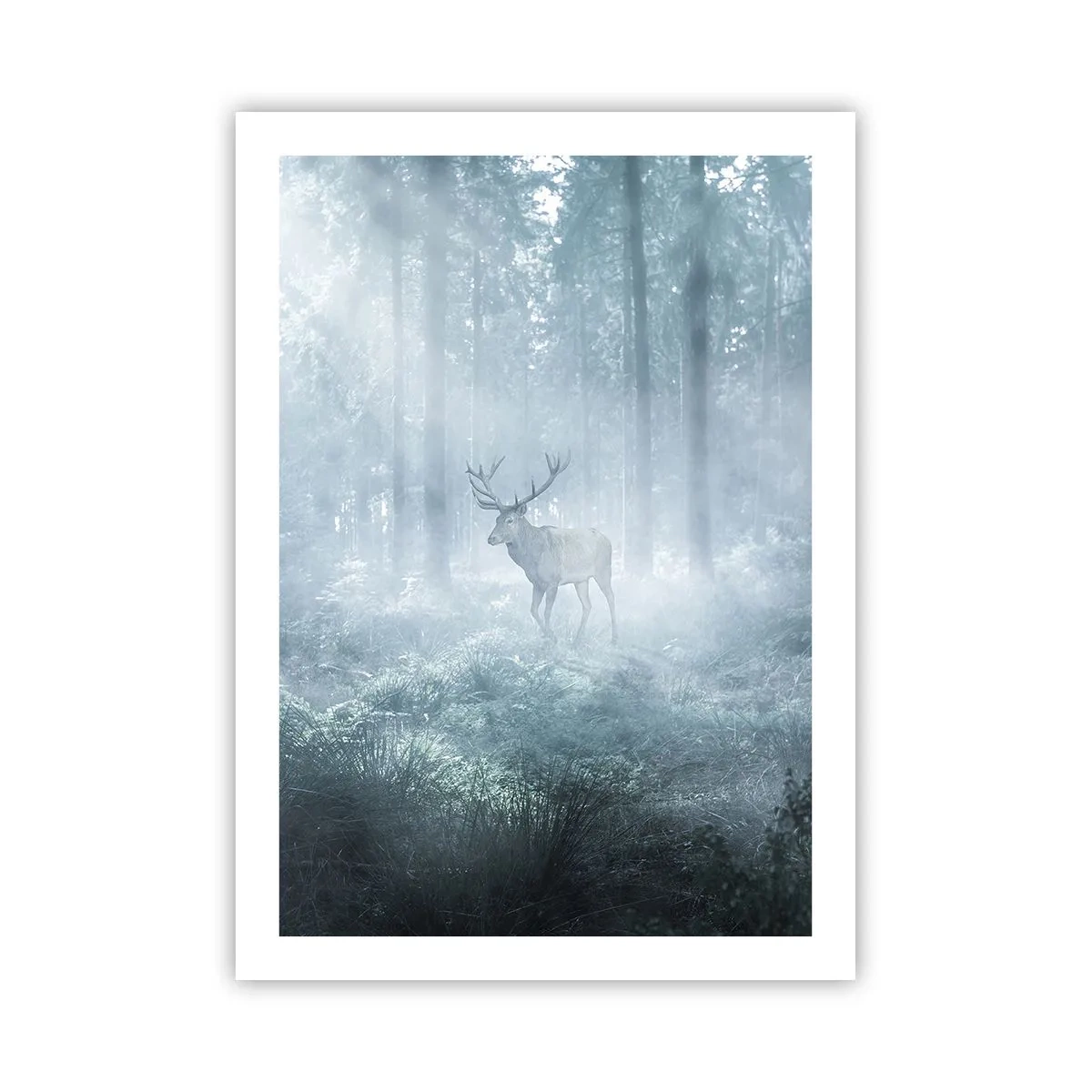 Affiche - Poster - Cerf dans le brouillard matinal dans la forêt - 50x70cm - Visite matinale du domaine - Décoration murale moderne pour le salon et la chambre ARTTOR