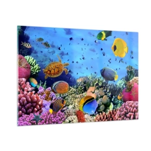 Impression sur verre - Image sur verre - Des poissons colorés et une tortue de mer contre un récif corallien - 100x70cm - Et que sait-on de la vie… - Décoration murale moderne pour le salon et la chambre ARTTOR
