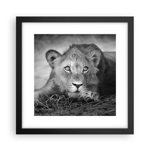 Affiche dans un cadre noir - Poster - Chiot royal - 30x30 cm