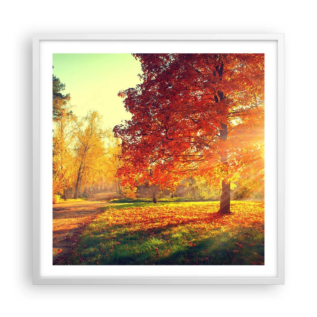 Affiche dans un cadre blanc - Poster - Le roux est beau - 60x60 cm