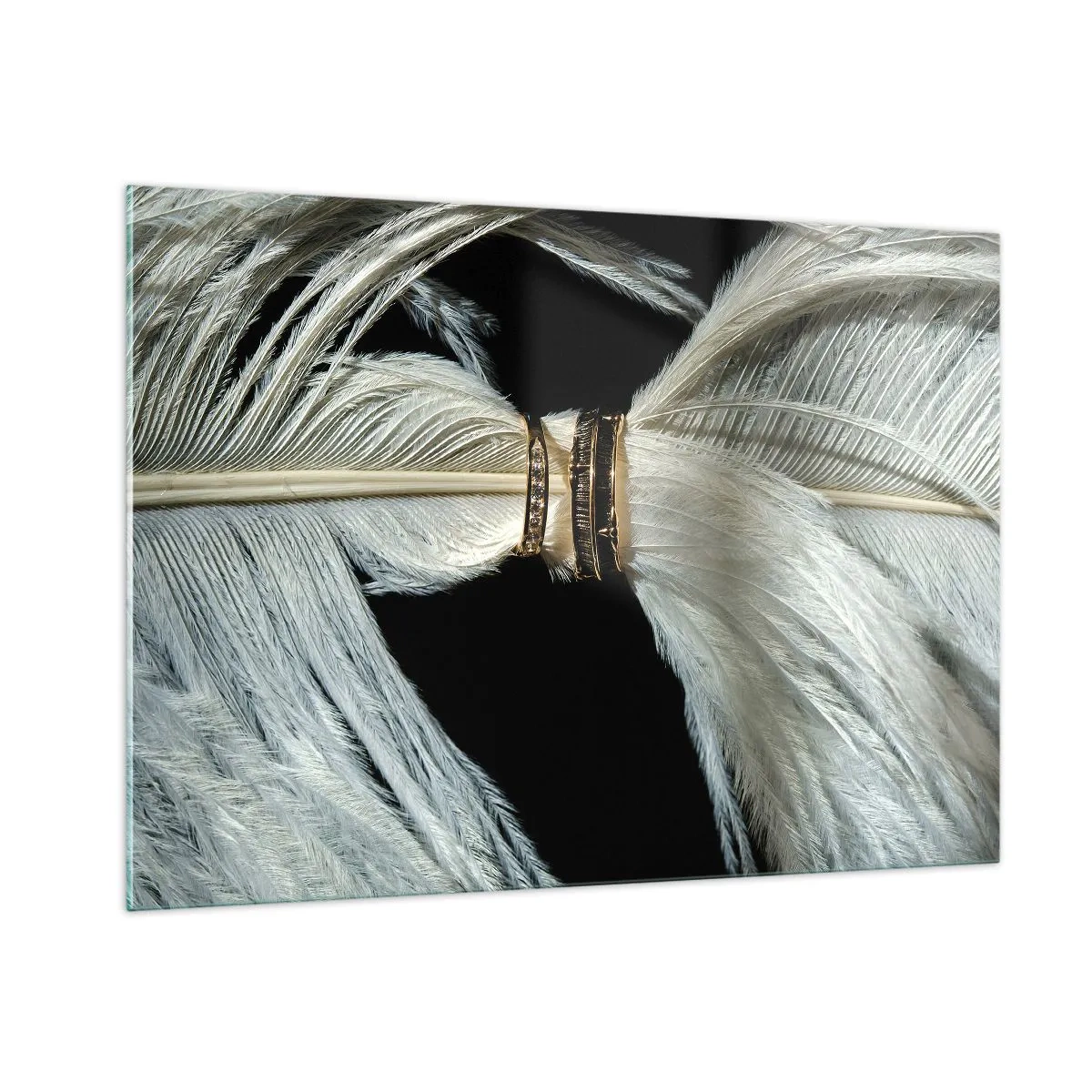 Impression sur verre - Image sur verre - Gros plan d'alliances sur des plumes blanches sur fond noir - 100x70cm - ... et je ne te laisserai pas ... - Décoration murale moderne pour le salon et la chambre ARTTOR