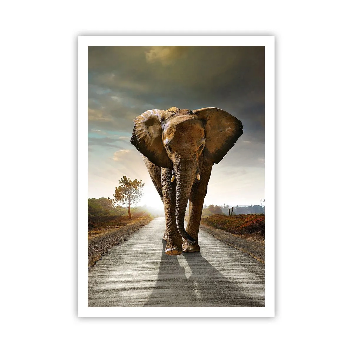 Affiche - Poster - Et pas du tout en porcelaine - 70x100 cm