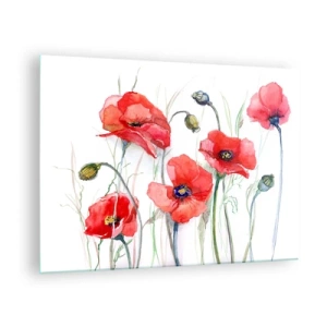 Impression sur verre - Image sur verre - Coquelicots rouges à l'aquarelle sur fond blanc - 70x50cm - Fleurs polonaises - Décoration murale moderne pour le salon et la chambre ARTTOR