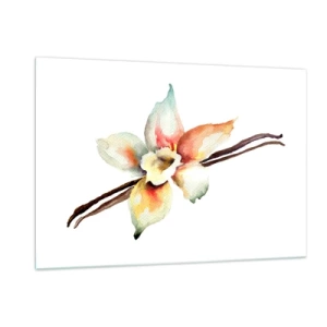 Impression sur verre - Image sur verre - Illustration à l'aquarelle d'une fleur de vanille sur fond blanc - 120x80cm - Douceur de couleur renversée - Décoration murale moderne pour le salon et la chambre ARTTOR