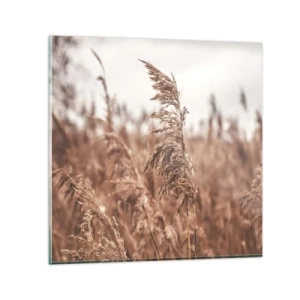 Impression sur verre - Image sur verre - C'est déjà l'automne dans les champs - 50x50 cm