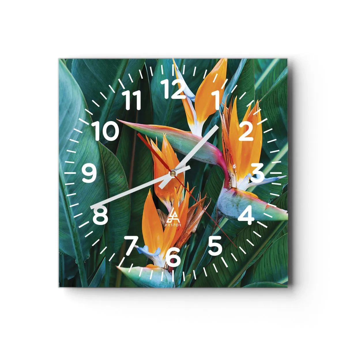 Horloge murale - Pendule murale - Est-ce une fleur, est-ce un oiseaux? - 40x40 cm