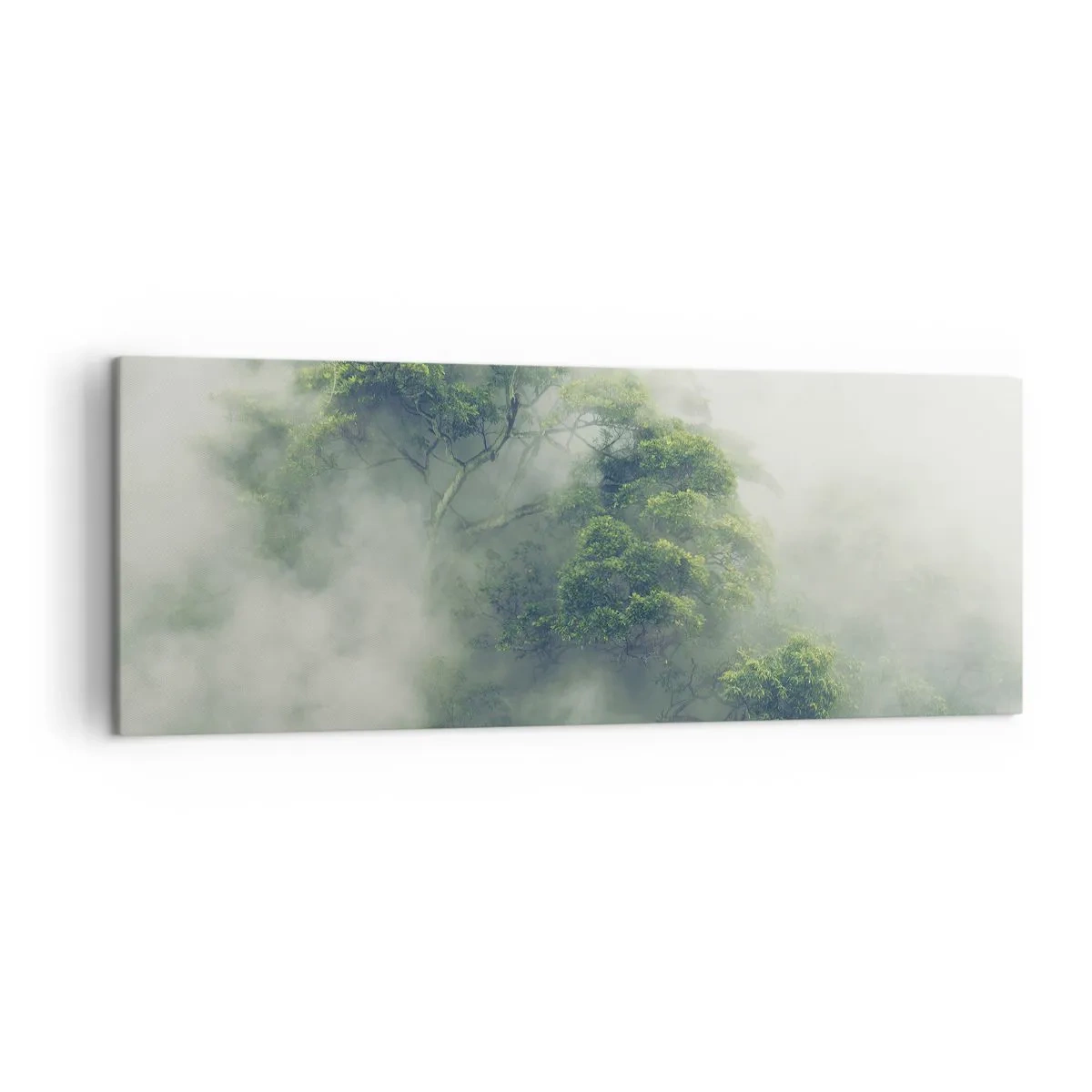 Impression sur toile - Image sur toile - Arbres verts dans un épais brouillard sur fond naturel - 140x50cm - Enveloppé de brouillard - Décoration murale moderne pour le salon et la chambre ARTTOR