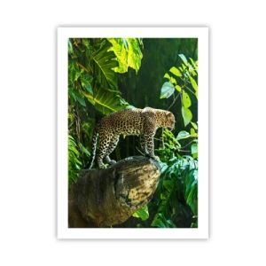 Affiche - Poster - Un léopard debout sur un rocher dans une forêt tropicale - 50x70cm - À la chasse? - Décoration murale moderne pour le salon et la chambre ARTTOR