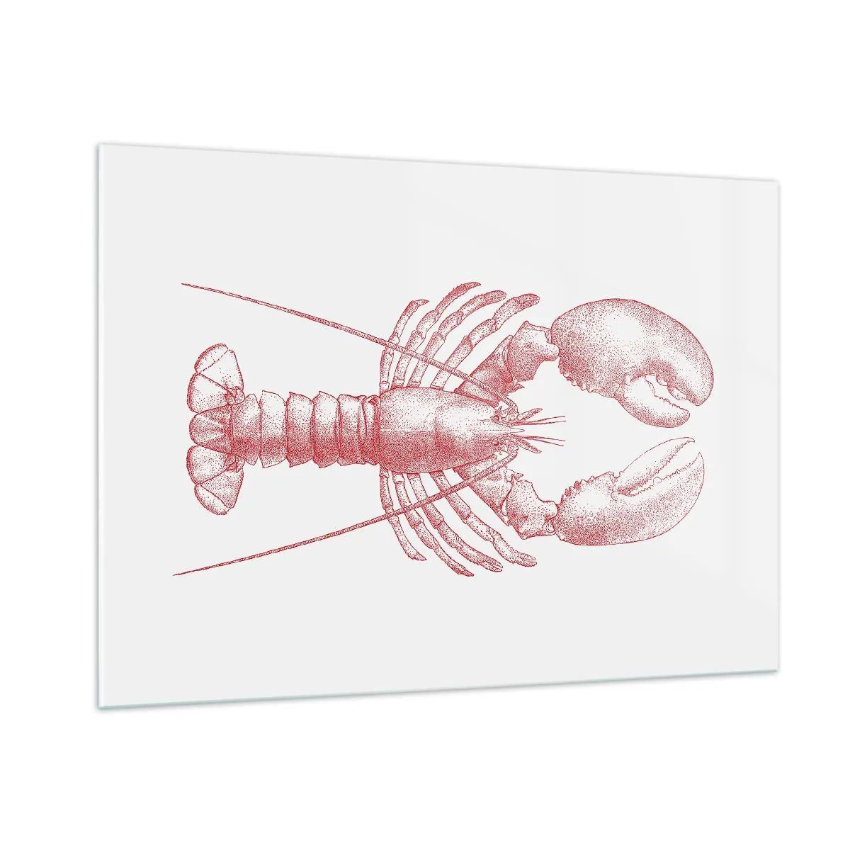 Impression sur verre - Image sur verre - Croquis d'un homard en rouge sur fond clair - 100x70cm - Un homard digne d'Homère - Décoration murale moderne pour le salon et la chambre ARTTOR
