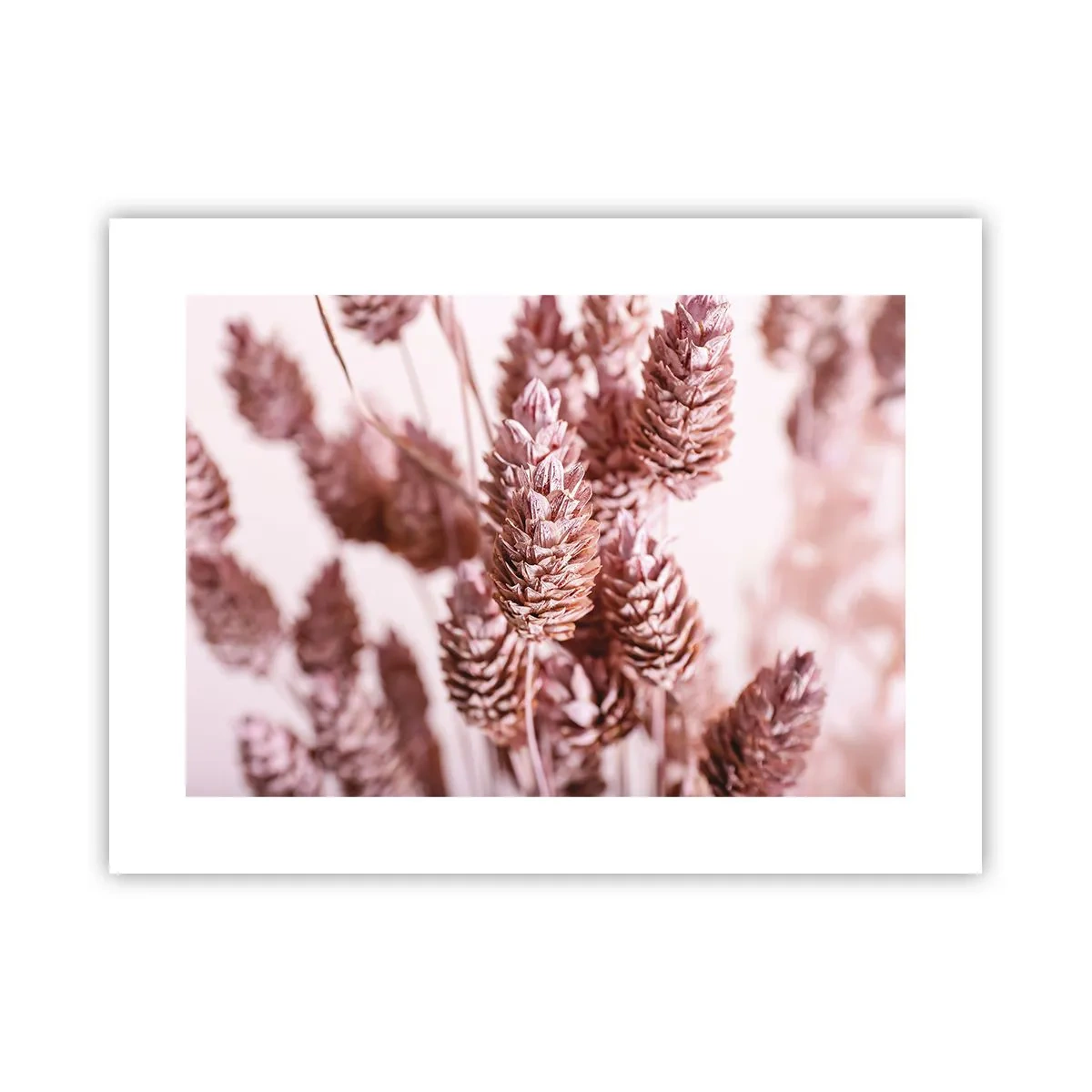 Affiche - Poster - Apparemment discret - 40x30 cm