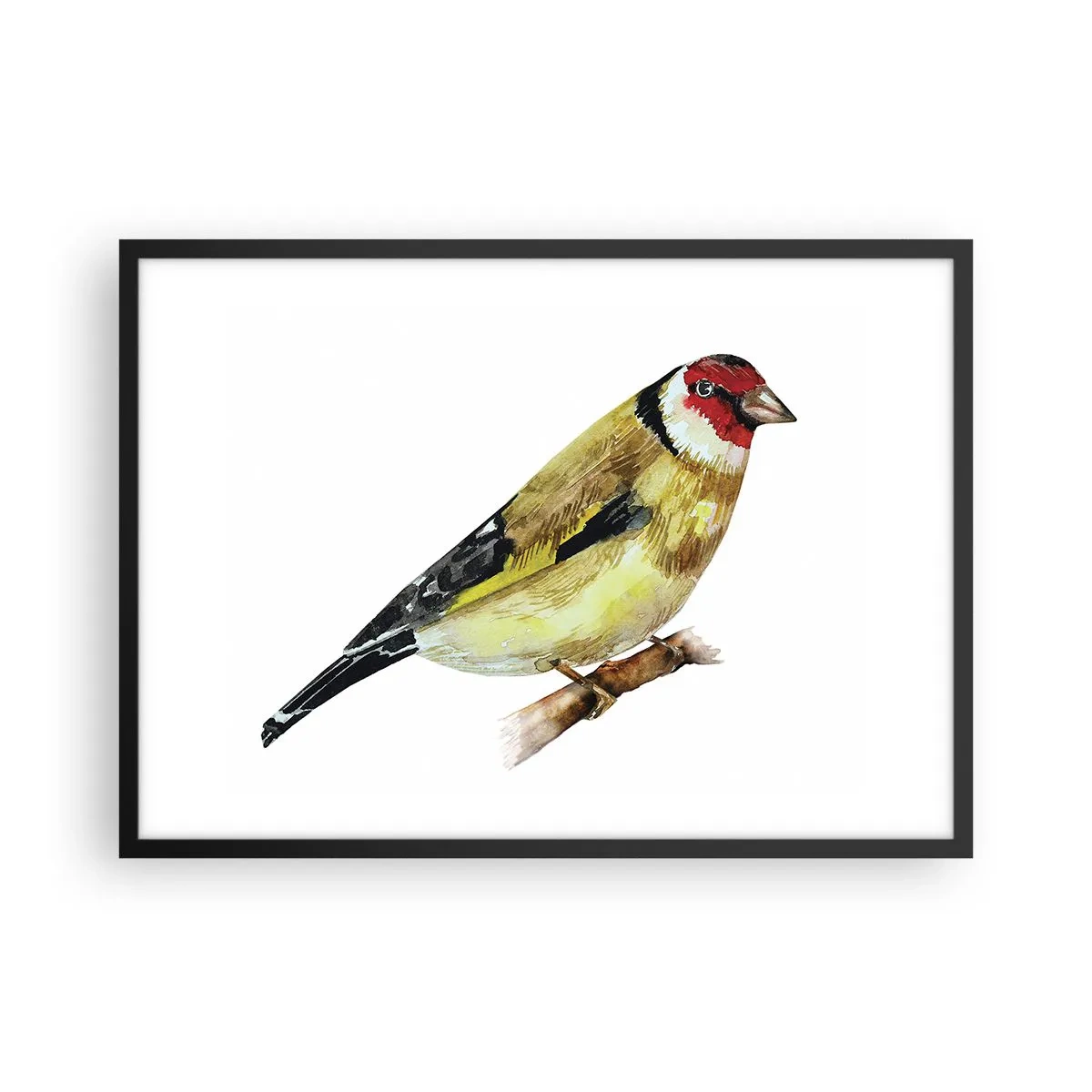 Affiche dans un cadre noir - Poster - Un oiseau à tête rouge sur une branche - 70x50cm - Portrait d'oiseau - Décoration murale moderne pour le salon et la chambre ARTTOR