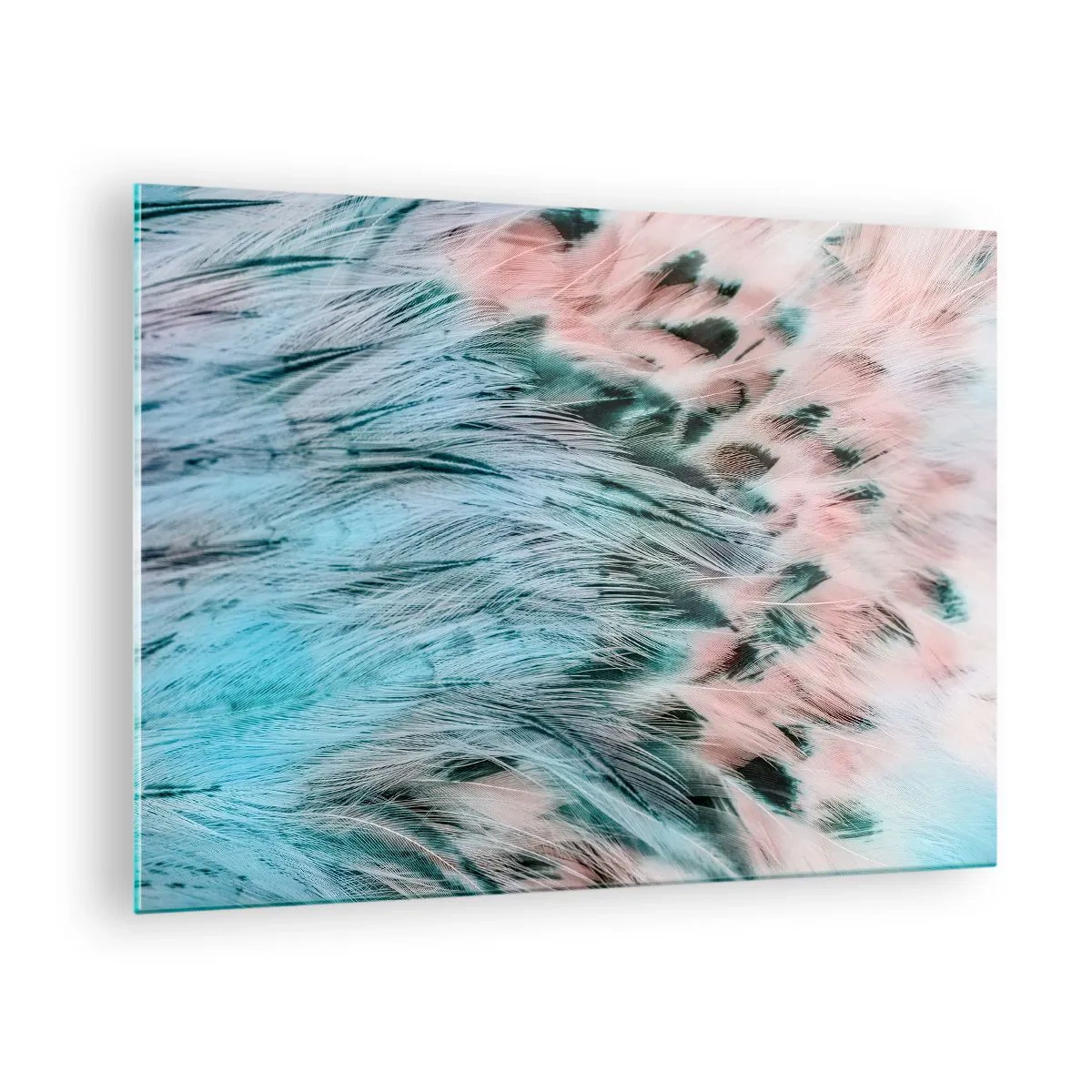 Impression sur verre - Image sur verre - Gros plan de plumes aux tons rose saphir - 70x50cm - Duvet rose saphir - Décoration murale moderne pour le salon et la chambre ARTTOR