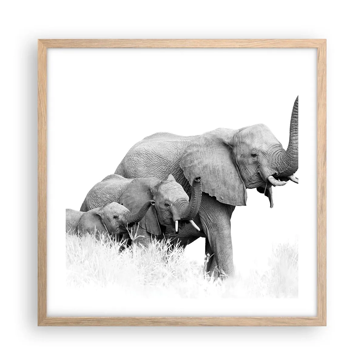 Affiche dans un chêne clair - Poster - Un, deux, trois - 50x50 cm