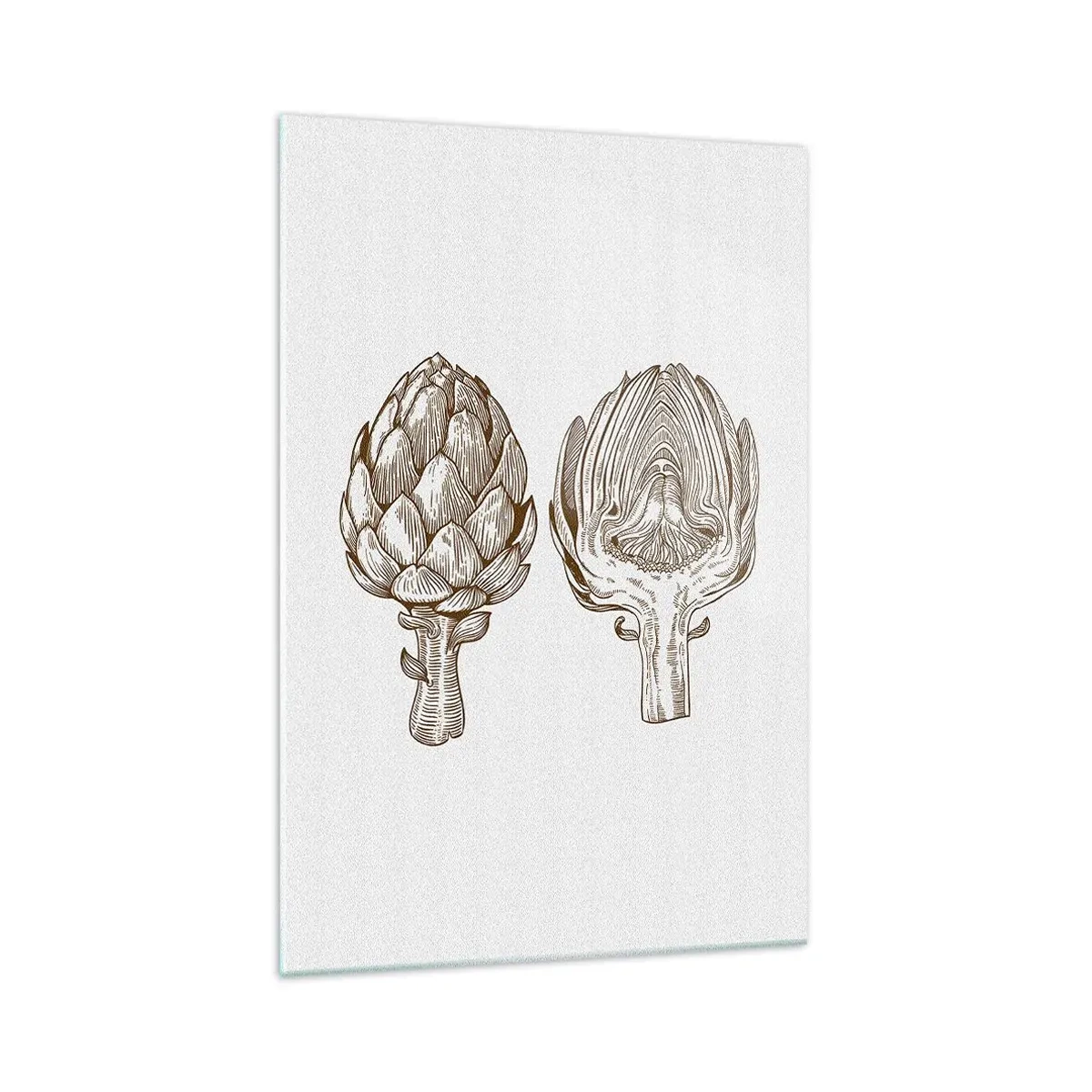 Impression sur verre - Image sur verre - Dessin d'art vintage d'un artichaut - 70x100cm - Leçon d’anatomie - Décoration murale moderne pour le salon et la chambre ARTTOR