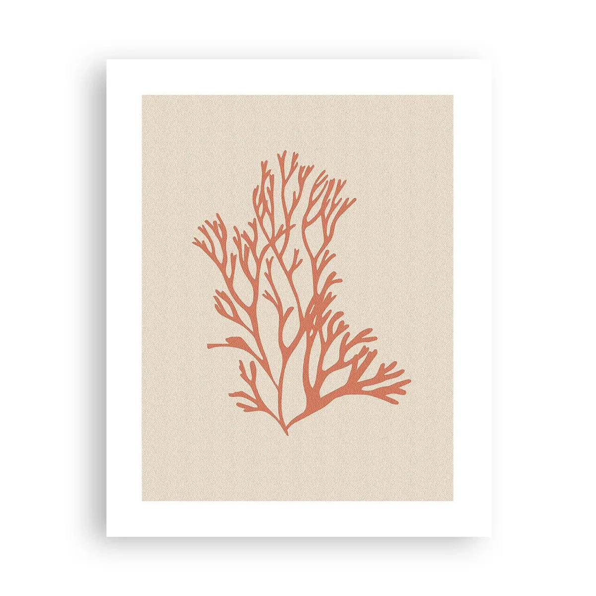 Affiche - Poster - Filigrane de corail - 40x50 cm