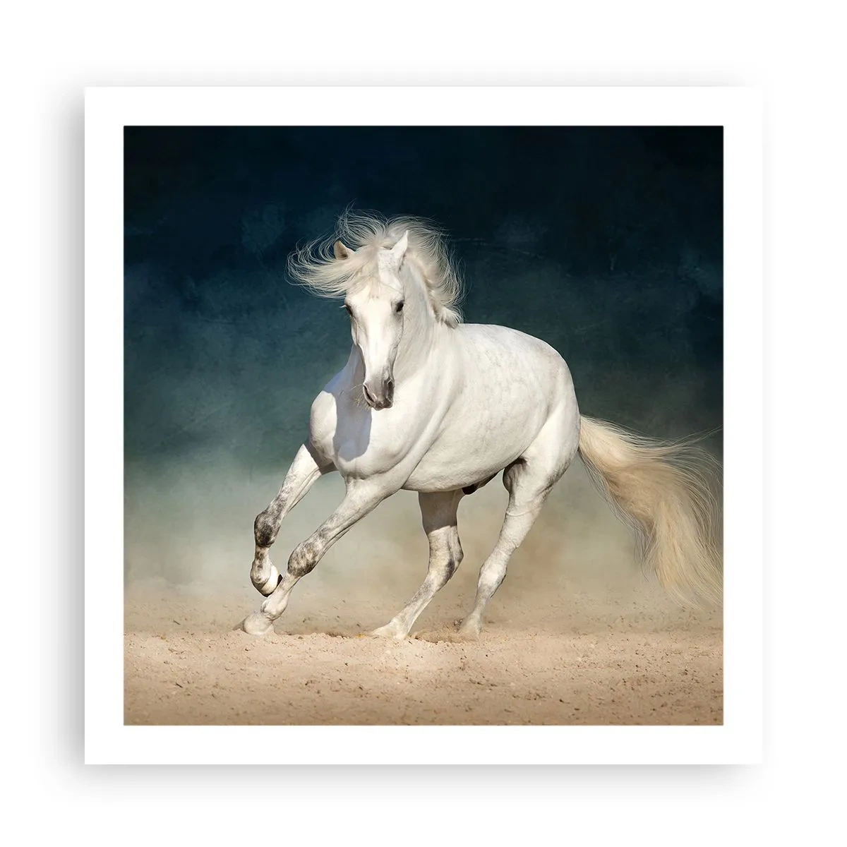 Affiche - Poster - La liberté à l'état pur - 60x60 cm