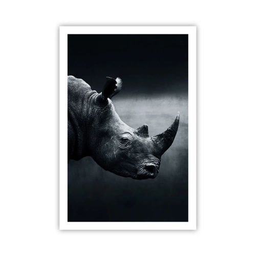 Affiche - Poster - Le profil droit - 61x91 cm