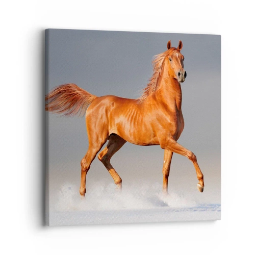 Impression sur toile - Image sur toile - La grâce dansante - 30x30 cm