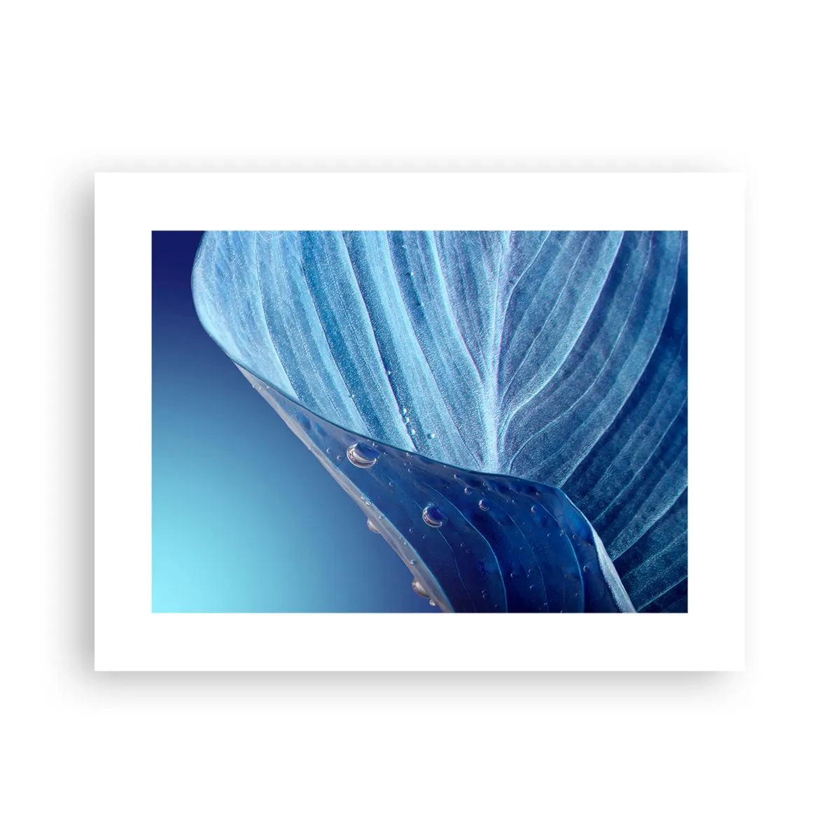 Affiche - Poster - Gouttes cachées du bleu - 40x30 cm