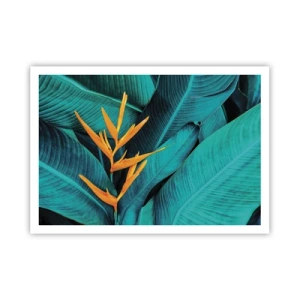 Affiche - Poster - Une fleur exotique sur fond de feuilles de bananier aux tons turquoise. - 100x70cm - Fleur d'Eden - Décoration murale moderne pour le salon et la chambre ARTTOR