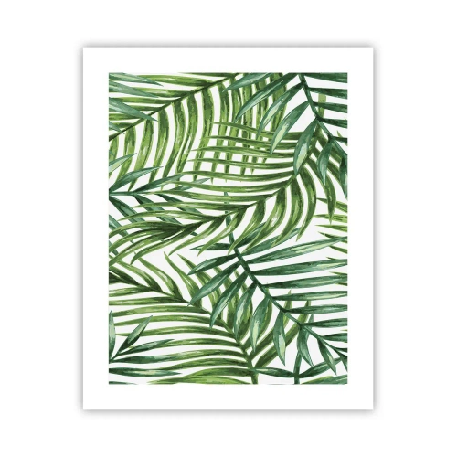 Affiche - Poster - Sous la canopée verte - 40x50 cm