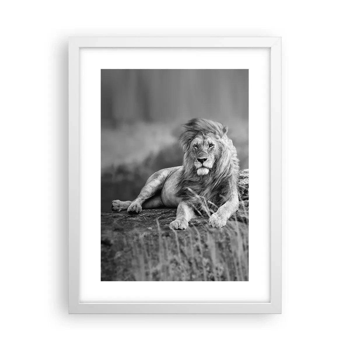 Affiche dans un cadre blanc - Poster - Sieste royale - 30x40 cm