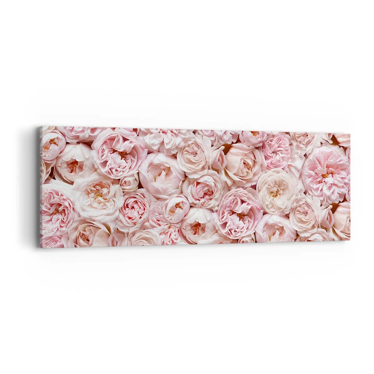 Impression sur toile - Image sur toile - Un lit de roses - 90x30 cm