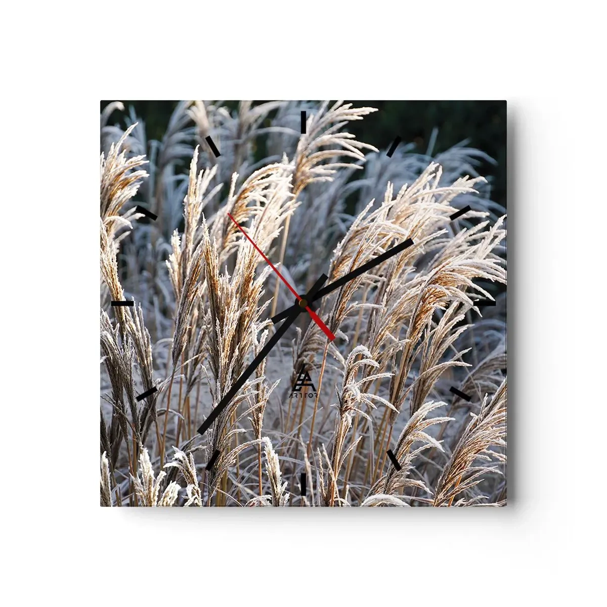 Horloge murale - Pendule murale - Brins d'herbe d'hiver recouverts de givre sur un fond vert foncé - 30x30cm - Habillé de givre - Décoration murale moderne pour le salon et la chambre ARTTOR