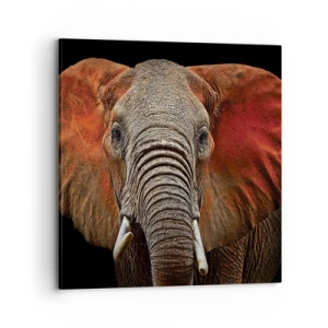 Impression sur toile - Image sur toile - Je suis sauvage, et toi? - 70x70 cm