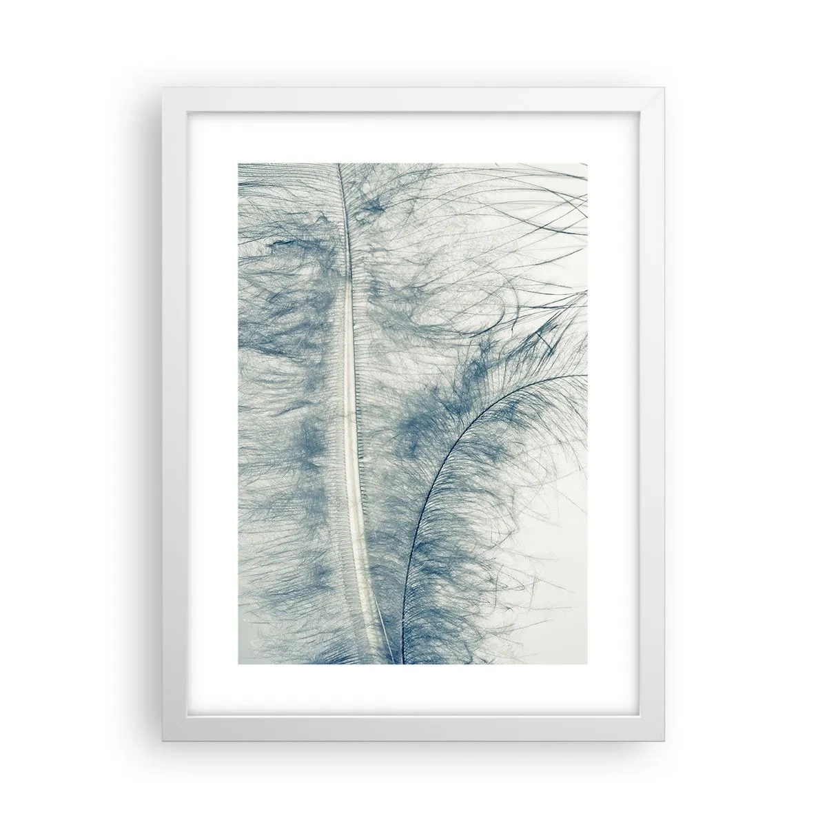 Affiche dans un cadre blanc - Poster - Les sept natures - 30x40 cm