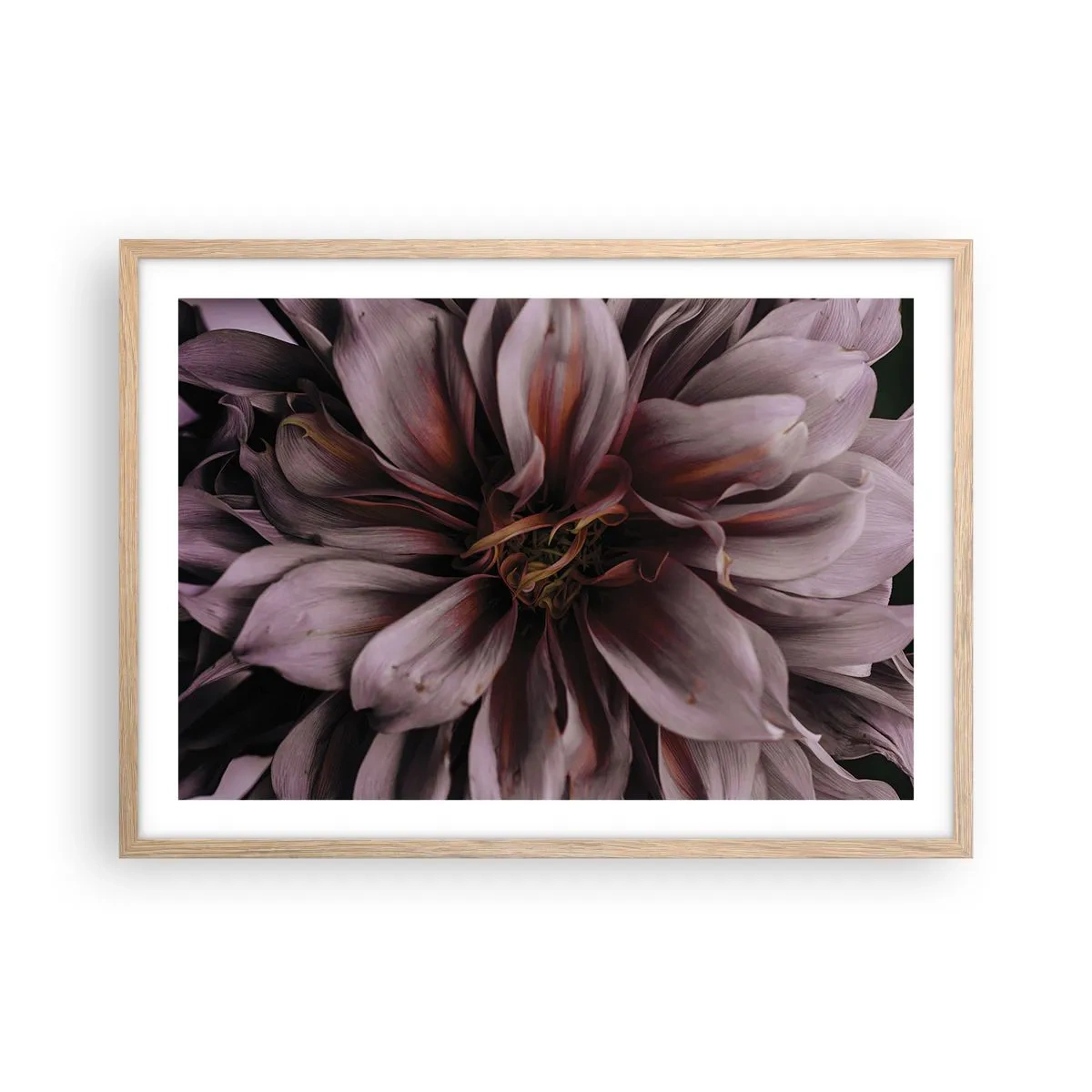 Affiche dans un chêne clair - Poster - Un coeur fleuri - 70x50 cm