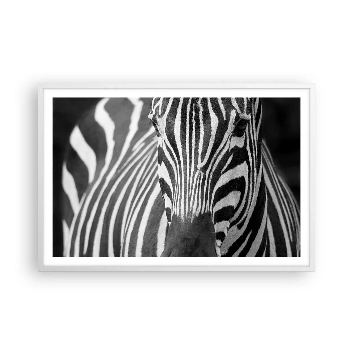 Affiche dans un cadre blanc - Poster - Le monde est noir et blanc - 91x61 cm