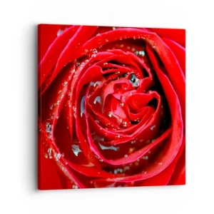 Impression sur toile - Image sur toile - Dans les gouttes de rosée - 30x30 cm
