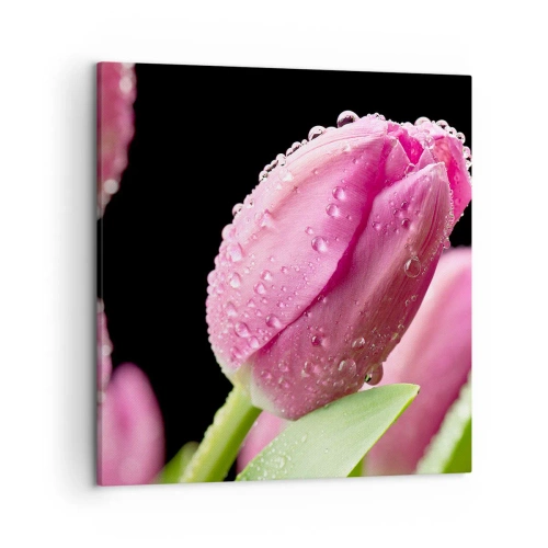 Impression sur toile - Image sur toile - Rêve de lilas dans la rosée - 50x50 cm