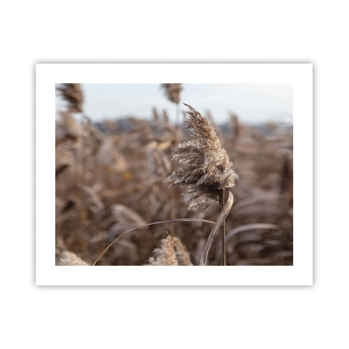 Affiche - Poster - Il est temps de s'envoler avec le vent - 50x40 cm