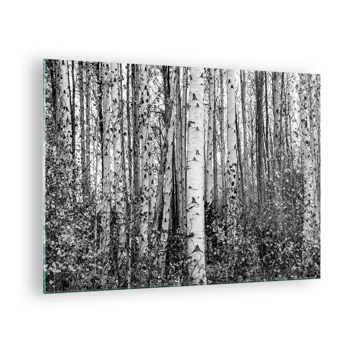 Impression sur verre - Image sur verre - Les bouleaux noirs et blancs créent un paysage forestier dense - 70x50cm - Enchevêtrement de bouleau - Décoration murale moderne pour le salon et la chambre ARTTOR