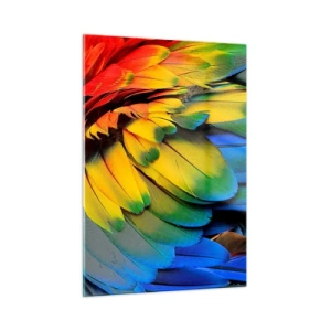 Impression sur verre - Image sur verre - Plumes de perroquet colorées aux couleurs intenses de l'arc-en-ciel - 50x70cm - Oiseau de paradis - Décoration murale moderne pour le salon et la chambre ARTTOR